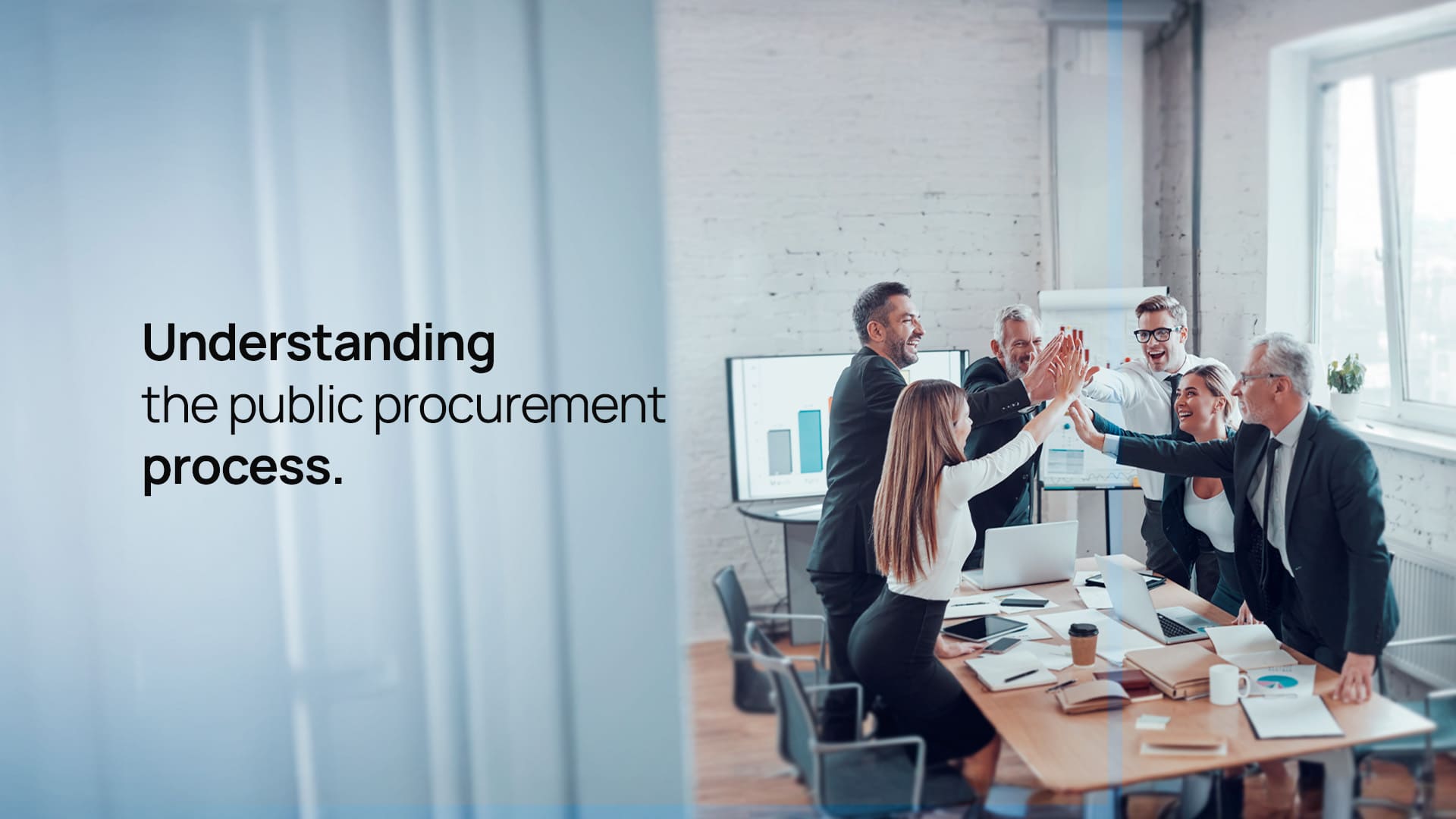 Understanding the Public Procurement Process